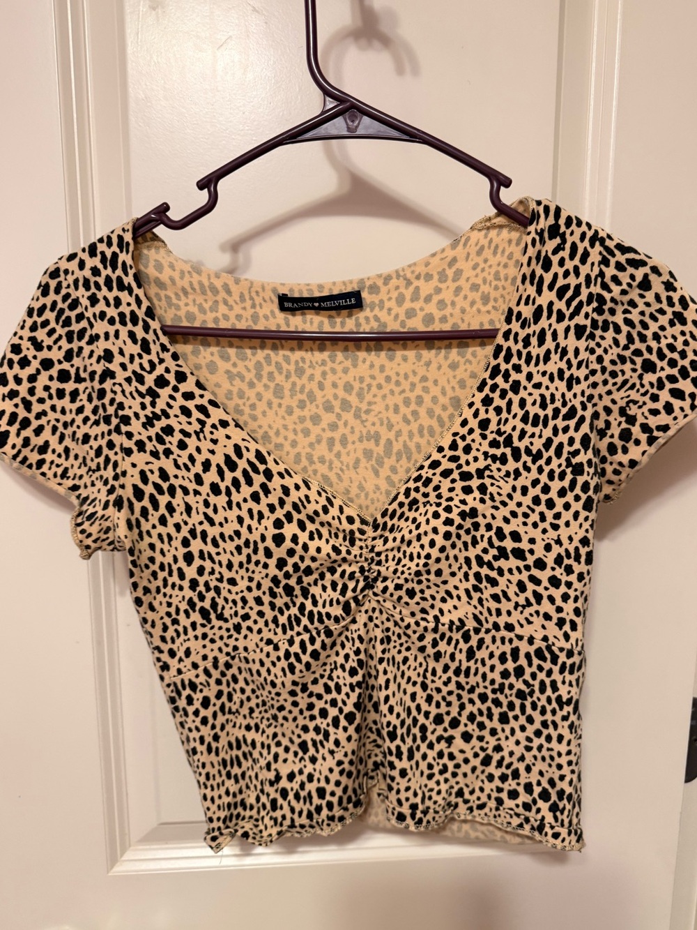 Brandy Melville Beige and Black Leopard Crop Top